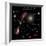 A Selection of Galaxies Shown to the Same Scale-null-Framed Photographic Print