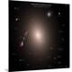 Premium Photographic Print