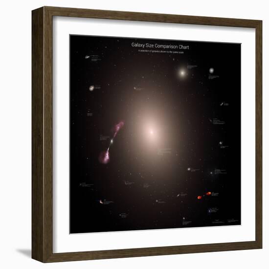 A Selection of Galaxies Shown to the Same Scale-null-Framed Photographic Print