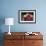 A Selection of Jams and Jelly in Jars, Redcurrants and Leaves-Foodcollection-Framed Photographic Print displayed on a wall