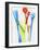 A Selection of Plastic Ice Cream Spoons-Marc O^ Finley-Framed Photographic Print