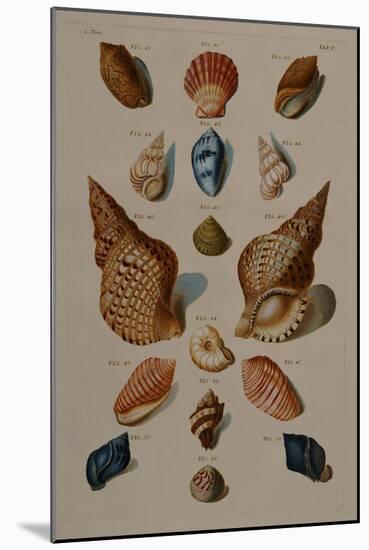 A Selection of Seashells, 1758-Henry Thomas Alken-Mounted Giclee Print