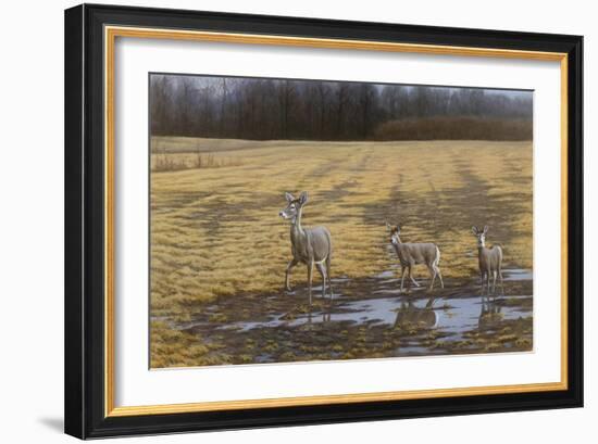 A Sense of Danger-Michael Budden-Framed Giclee Print