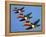 A Set of Three Carltonware Graduated Guinness Advertising Toucan Wall Hangings-null-Framed Premier Image Canvas