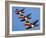 A Set of Three Carltonware Graduated Guinness Advertising Toucan Wall Hangings-null-Framed Giclee Print