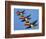 A Set of Three Carltonware Graduated Guinness Advertising Toucan Wall Hangings-null-Framed Giclee Print