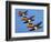A Set of Three Carltonware Graduated Guinness Advertising Toucan Wall Hangings-null-Framed Giclee Print