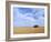 A Shack in the Outback, New South Wales, Australia-Mark Mawson-Framed Photographic Print