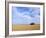 A Shack in the Outback, New South Wales, Australia-Mark Mawson-Framed Photographic Print