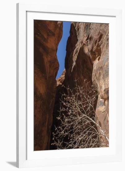 A Shaded Spot-Andrew Geiger-Framed Giclee Print