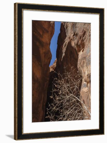 A Shaded Spot-Andrew Geiger-Framed Giclee Print