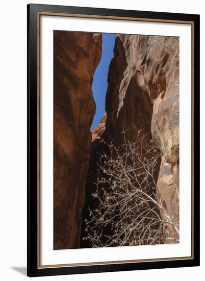 A Shaded Spot-Andrew Geiger-Framed Giclee Print