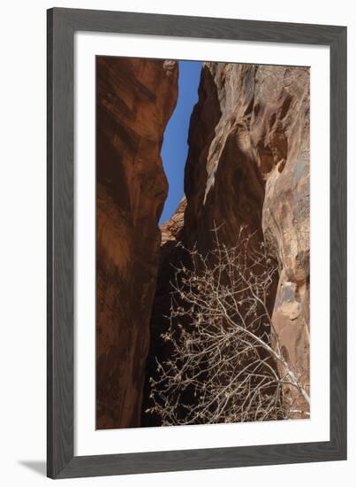 A Shaded Spot-Andrew Geiger-Framed Giclee Print