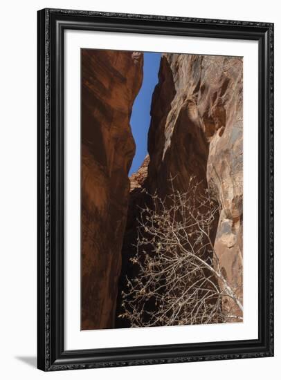 A Shaded Spot-Andrew Geiger-Framed Giclee Print