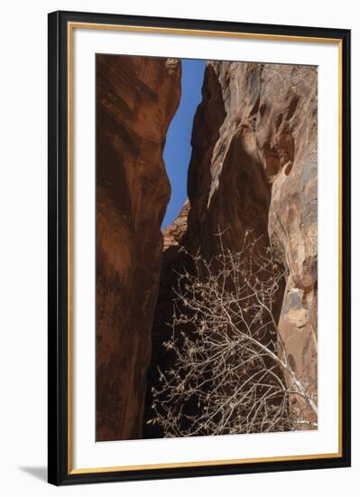 A Shaded Spot-Andrew Geiger-Framed Giclee Print