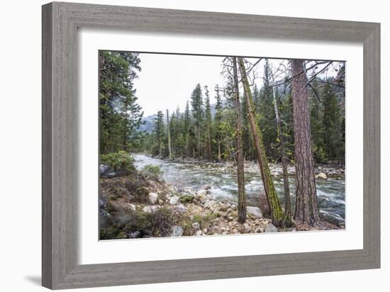 A Shallow River In Kings Canyon National Park, California-Michael Hanson-Framed Photographic Print