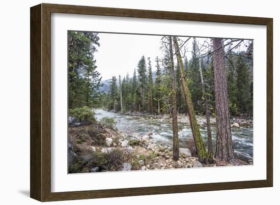 A Shallow River In Kings Canyon National Park, California-Michael Hanson-Framed Photographic Print