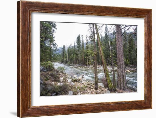 A Shallow River In Kings Canyon National Park, California-Michael Hanson-Framed Photographic Print