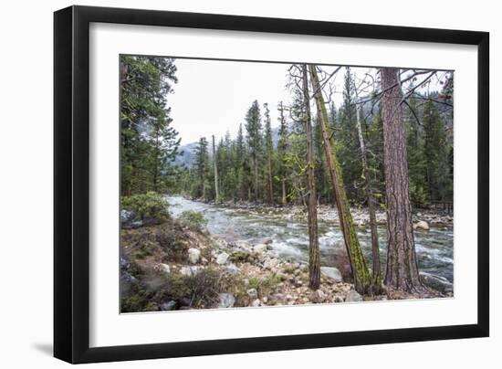 A Shallow River In Kings Canyon National Park, California-Michael Hanson-Framed Photographic Print