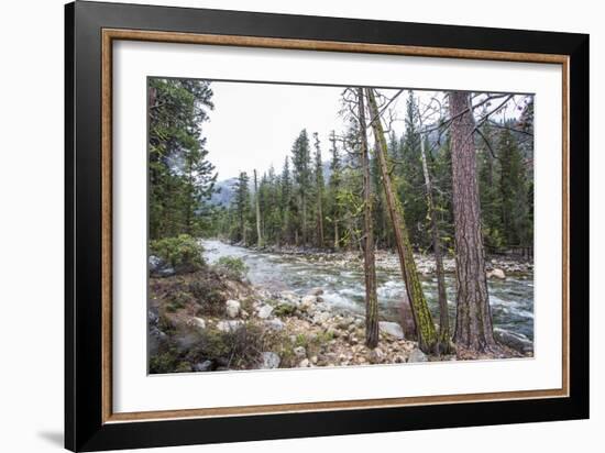 A Shallow River In Kings Canyon National Park, California-Michael Hanson-Framed Photographic Print