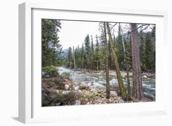 A Shallow River In Kings Canyon National Park, California-Michael Hanson-Framed Photographic Print