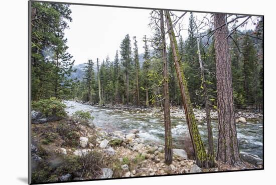 A Shallow River In Kings Canyon National Park, California-Michael Hanson-Mounted Photographic Print