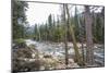 A Shallow River In Kings Canyon National Park, California-Michael Hanson-Mounted Photographic Print