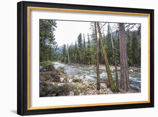 A Shallow River In Kings Canyon National Park, California-Michael Hanson-Framed Photographic Print