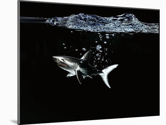 A Shark under Water-Hermann Mock-Mounted Photographic Print