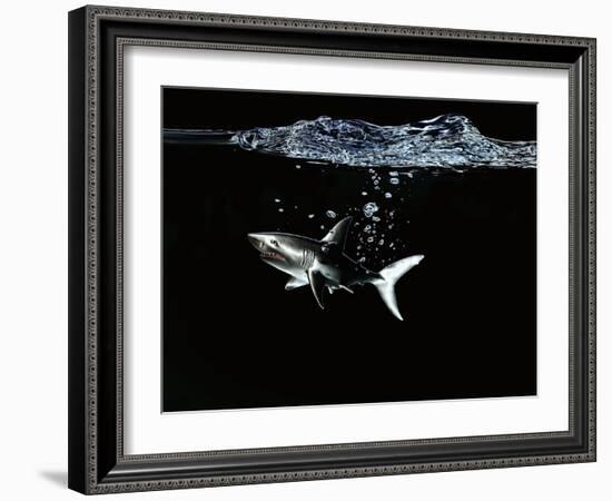 A Shark under Water-Hermann Mock-Framed Photographic Print