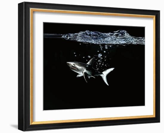 A Shark under Water-Hermann Mock-Framed Photographic Print