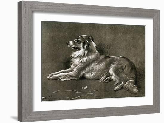 A Sheep Dog, 1901-Walter Hunt-Framed Giclee Print