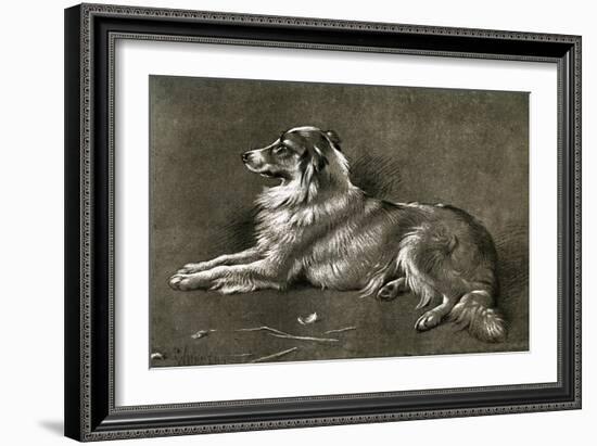 A Sheep Dog, 1901-Walter Hunt-Framed Giclee Print