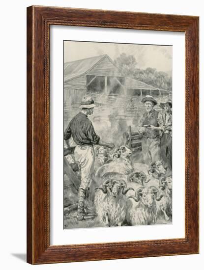 A Sheep Station on Canterbury Plains-Frank Dadd-Framed Giclee Print