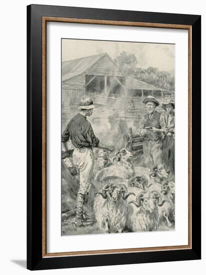 A Sheep Station on Canterbury Plains-Frank Dadd-Framed Giclee Print