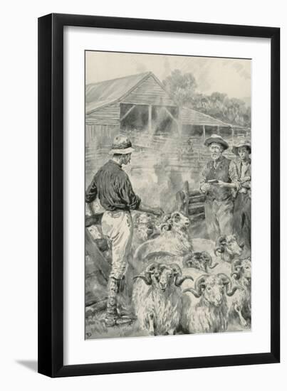 A Sheep Station on Canterbury Plains-Frank Dadd-Framed Giclee Print