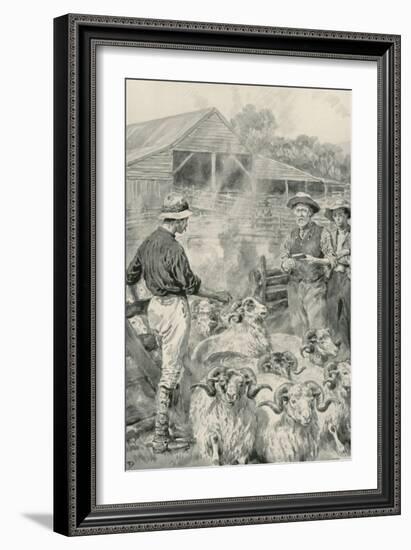 A Sheep Station on Canterbury Plains-Frank Dadd-Framed Giclee Print