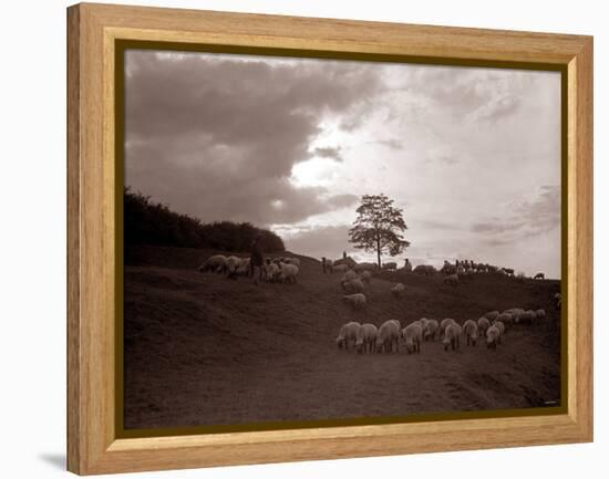 A Shepherd Surveys His Flock at the End of the Day, 1935-null-Framed Premier Image Canvas