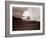 A Shepherd Surveys His Flock at the End of the Day, 1935-null-Framed Photographic Print