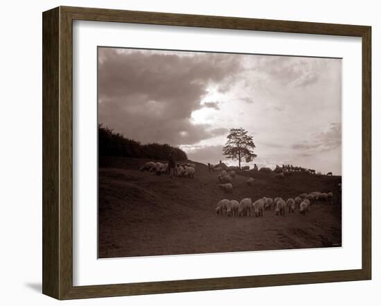 A Shepherd Surveys His Flock at the End of the Day, 1935-null-Framed Photographic Print