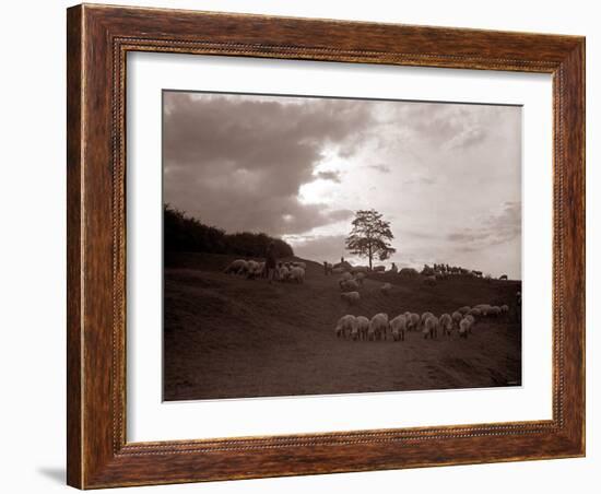 A Shepherd Surveys His Flock at the End of the Day, 1935-null-Framed Photographic Print