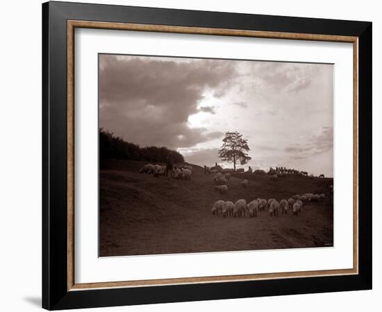 A Shepherd Surveys His Flock at the End of the Day, 1935-null-Framed Photographic Print