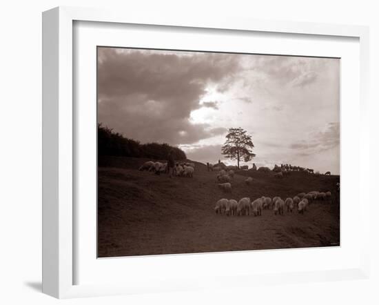 A Shepherd Surveys His Flock at the End of the Day, 1935-null-Framed Photographic Print