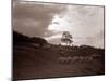 A Shepherd Surveys His Flock at the End of the Day, 1935-null-Mounted Photographic Print