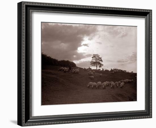 A Shepherd Surveys His Flock at the End of the Day, 1935-null-Framed Photographic Print