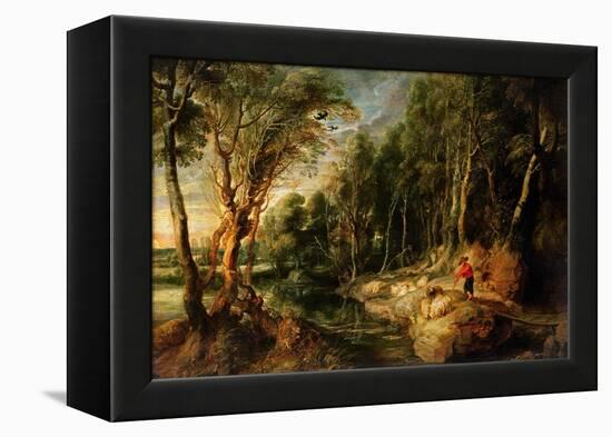 A Shepherd with His Flock in a Woody Landscape, C.1615-22 (Oil on Oak)-Peter Paul Rubens-Framed Premier Image Canvas