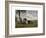 A Shepherdess with a Goat and Two Cows in a Meadow-Rosa Bonheur-Framed Premium Giclee Print