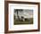 A Shepherdess with a Goat and Two Cows in a Meadow-Rosa Bonheur-Framed Premium Giclee Print