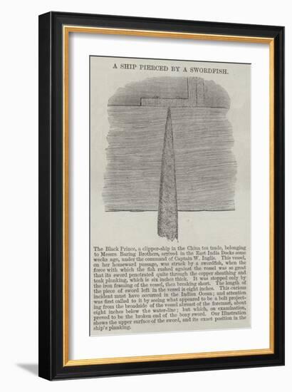 A Ship Pierced by a Swordfish-null-Framed Giclee Print