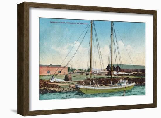 A Shipping Schooner Scene - Petaluma, CA-Lantern Press-Framed Art Print